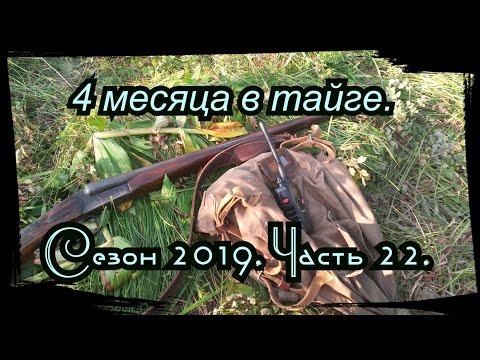Видео: 4 месяца в тайге. 22 серия. Хариус, Ассорти по гиловский, Охота, Варенье,