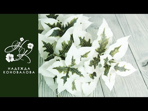 Видео: Декоративные веточки с интересной тонировкой из фоамирана для тропического букета