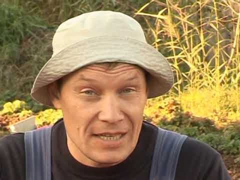 Видео: Разумный огород. Тыква