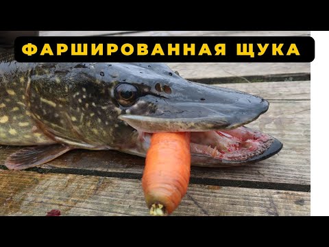 Видео: Фаршированная ЩУКА рецепт пальчики оближешь