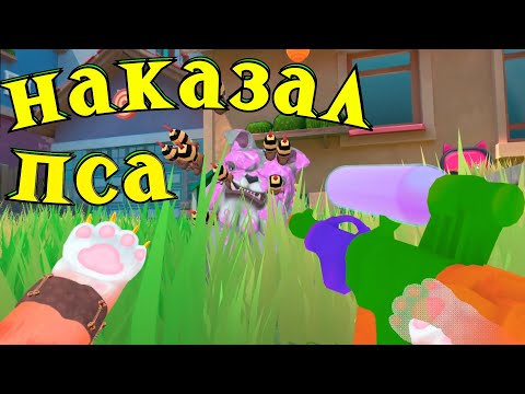 Видео: КОТ ОБИЖАЕТ ПСА ХИМИЧЕСКИМ ОРУЖИЕМ