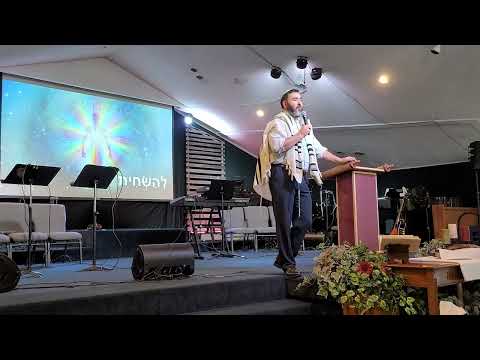 Видео: Ноах... как во дни Ноя...