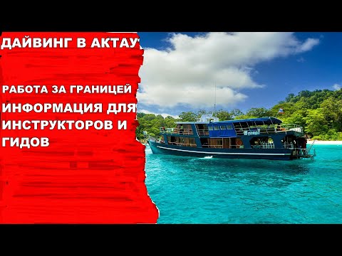 Видео: Дайвинг. Работа дайв инструктора за границей