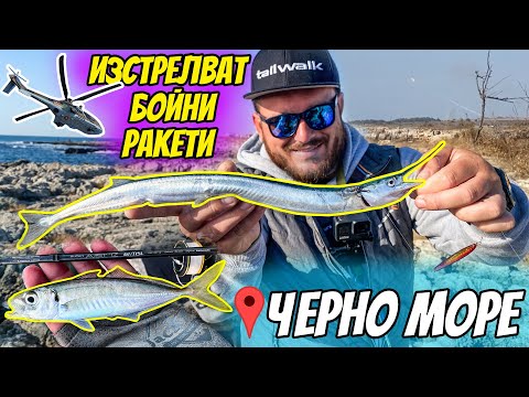 Видео: Риболов на ЗАРГАН С ДЖИГ на Черно море. Ловихме САФРИДИ на спининг на Морска гара ВАРНА.