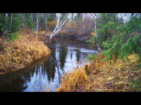 Видео: Рыбалка на таёжной реке. Ловля хариуса по большой воде. День 1. Рыбалка на спиннинг. Дикие места