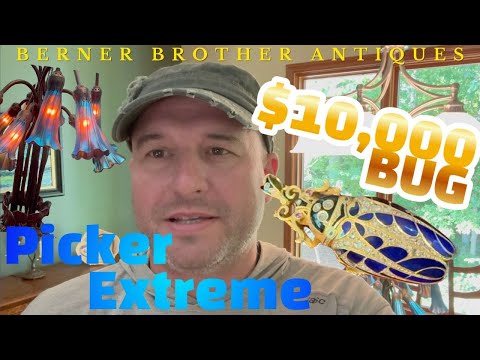 Видео: PICKER Extreme: BUG за 10 000 долларов, вызов на дом