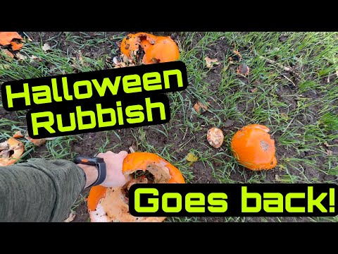 Видео: Хэллоуинский мусор снова за забором! Путешествие на DAF!