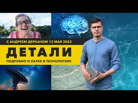 Видео: Исследование предсмертной активности мозга и сверхподробная карта Марса | «Детали»