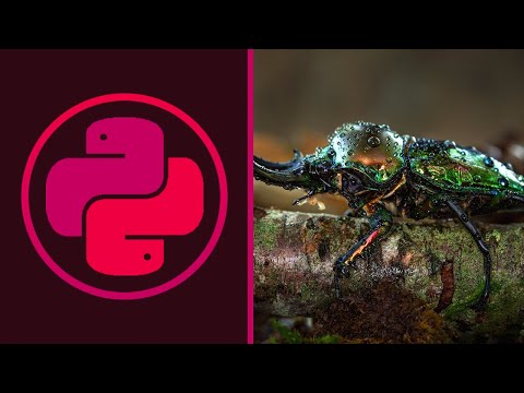 Видео: НАСТРОЙКИ И РЕФАКТОРИНГ. СОКЕТ ЧАТ #3.1 | Python 3, Питон 3