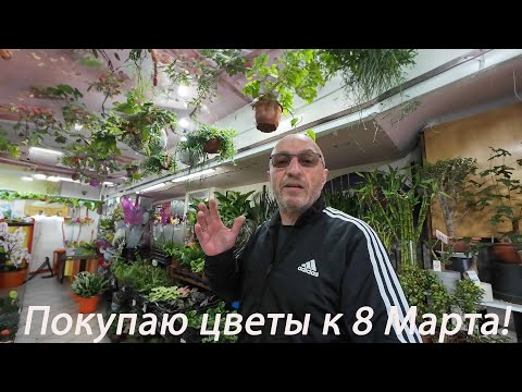 Видео: Цветы и цены в Израиле к 8 марта!