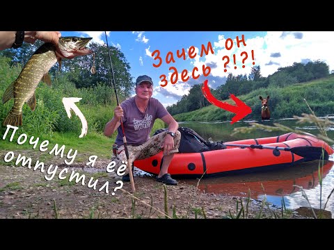 Видео: Сплав На пакрафте по Днепру. Рыбалка на Днепре. Выхухоль!