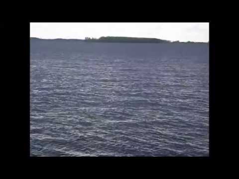Видео: Знаешь, я миллионы лет