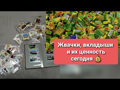 Видео: ОСОБО ЦЕННЫЕ ВКЛАДЫШИ, ЖВАЧКИ и пр полезная информация