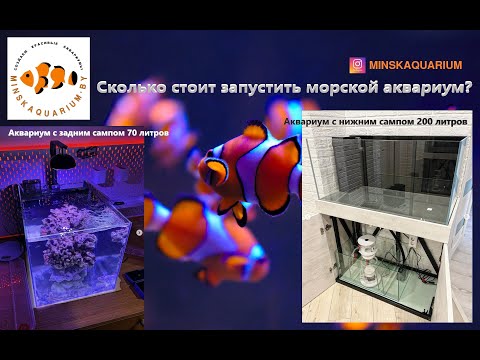 Видео: Запуск морского аквариума на примере 70 и 200 литров. Сколько это стоит.