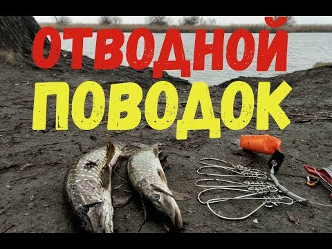 Видео: Как работает отводной поводок по холодной воде. Днестр, Маяки
