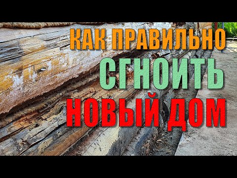 Видео: Как правильно сгноить дом всего за несколько лет. Исправляем фундамент, меняем сгнившие венцы. 1ч.