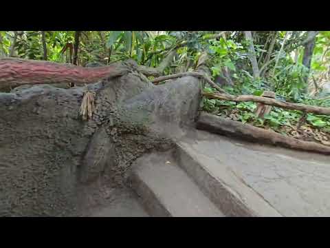 Видео: 4 ноября 2025 г. Прага, тройский дворец и пражский зоопарк африканские животные 