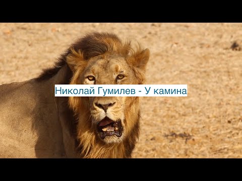 Видео: Николай Гумилев У камина.  музыка Е.Ринго Russian Romance . Nikolai Gumilev. By The Fireplace