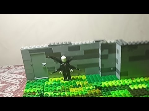 Видео: Фокси в хату всем хай в прямом эфире!
