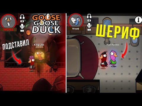 Видео: БЛС ПОДСТАВЛЯЕТ ШЕРИФА в GOOSE GOOSE DUCK