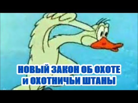 Видео: Новые правила для охоты... и штаны для охоты