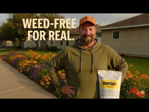 Видео: Как я поддерживаю ландшафт без сорняков (на самом деле)