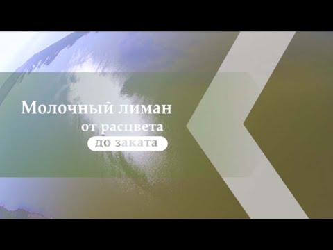 Видео: Молочный лиман: от расцвета до заката