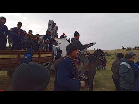 Видео: 1-КСИМ САМАРКАНД В НУРОБОД Т НУРДУМ ЭЛИДАН БЕКЗОД АКАМИЗ  КУПКАРИ ТУЙ БЕРДИ 15.01.2024