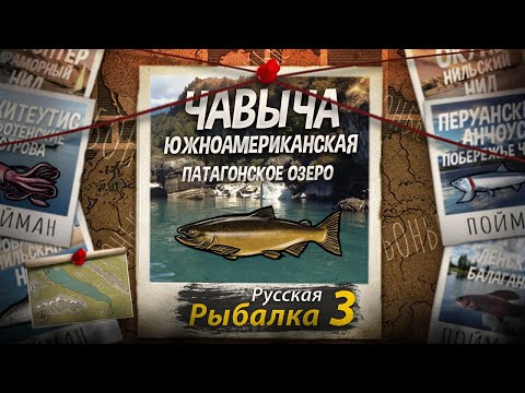 Видео: "Мутант" Чавыча Южноамериканская. Патагонское Озеро. Это было Тяжело! Русская Рыбалка 3.