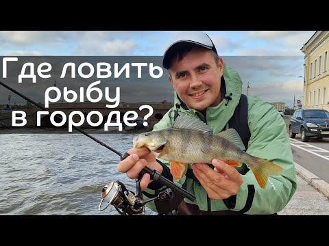 Видео: Где ловить рыбу в городе? Микроджиг и мормышинг в Санкт-Петербурге с CF Nano Long Air