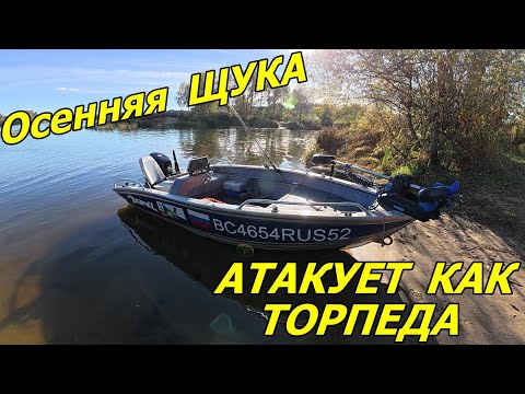 Видео: Рыбалка в Лысково. Осенняя щука рвёт приманки.