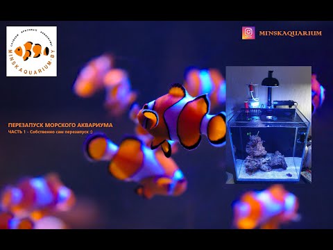 Видео: Перезапуск морского аквариума. Как промыть песок. Оборудование для аквариума.