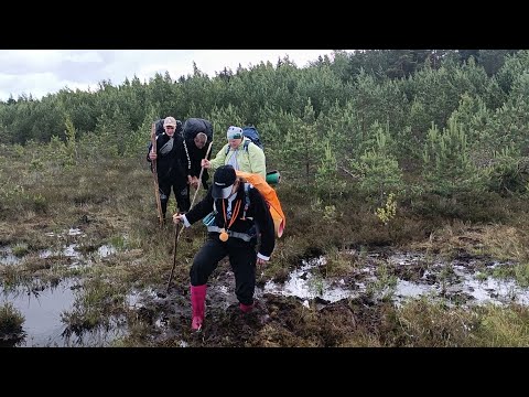 Видео: Дело №2025. Ельня.