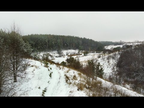 Видео: ЗИМА В ДЕРЕВНЕ. КАТАЕМСЯ НА КОНЬКАХ И ВАТРУШКЕ ВОЗЛЕ ЛЕСА.  КРАСОТЫ РУССКОЙ ПРИРОДЫ