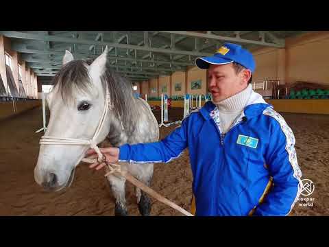 Видео: Құлагер көкпар клубы: НАЙЗА, СҰРКӨЖЕК, САРЫШАЯН, СҰҢҚАР, АҚМОЛА ҚАСҚА, НАМЫСКӨК