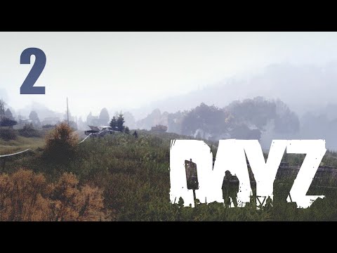 Видео: Dayz / Three / - Смотрю "грядка" бежит!)