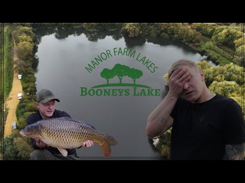 Видео: Дневной билет на ловлю карпа. Ловля карпа не всегда идёт по плану, Manor Farm - Booneys Lake. Что...