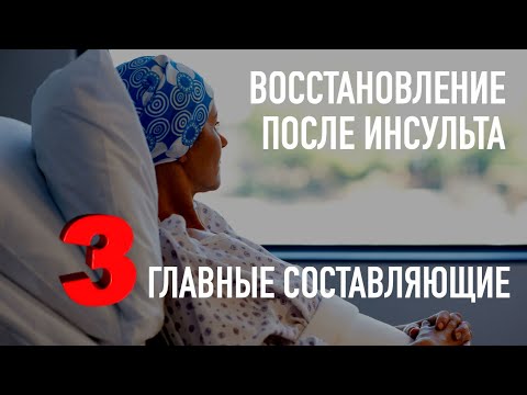 Видео: Восстановление после инсульта. Три главные составляющие.
