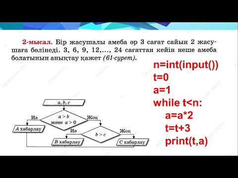 Видео: Алгоритмді программалау