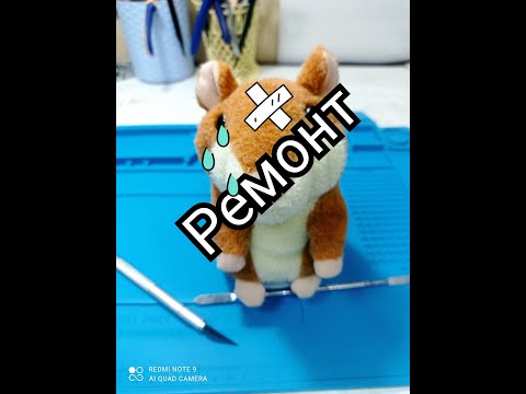 Видео: Говорящий хомяк не двигается