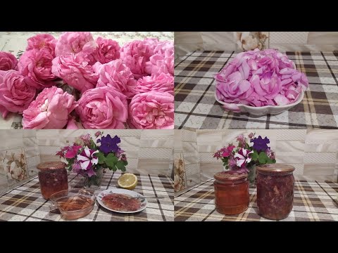 Видео: Варення з пелюсток троянди. Rose petal jam