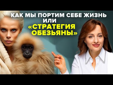 Видео: Как мы портим себе жизнь или «стратегия обезьяны»