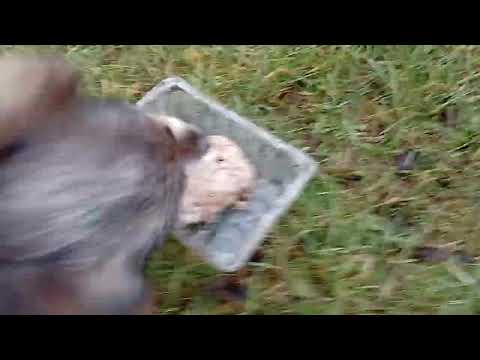 Видео: 30 октября 2025 г.