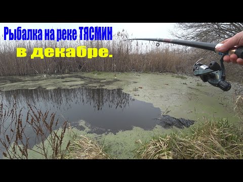Видео: Льда еще нет.Отвел душу.Рыбалка на реке ТЯСМИН в декабре.