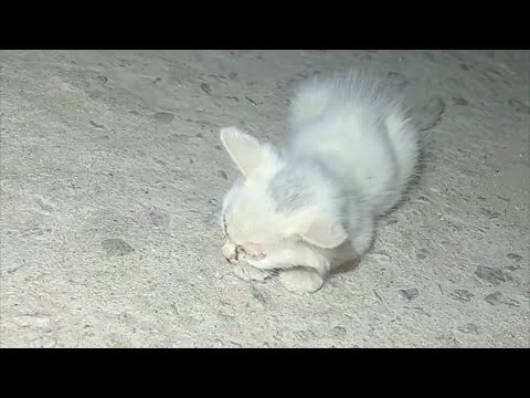 Видео: «Мама, я не могу открыть глаза. Меня кусает так много комаров».