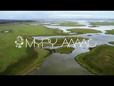 Видео: МҮРҮ АЛААС | УУС АЛДАН УЛУУҺА