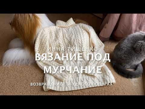 Видео: Возвращение "блудного попугая".