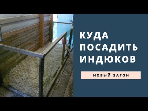 Видео: Загон для индюков // Переселение индеек // Жизнь в деревне