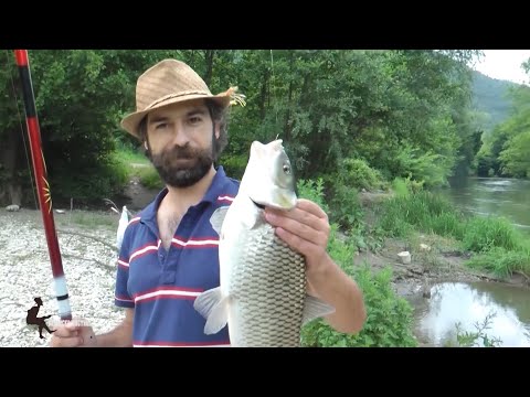 Видео: 🎣 „Лудница на вода! Клен на секое фрлање“🐟 🎣 Chub Action Non-Stop – Strikes on Every Cast! #fishing