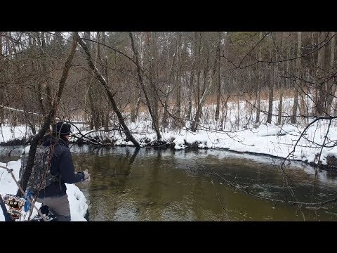Видео: Форель зимой. Трудные  условия ловли форели на спининг зимой